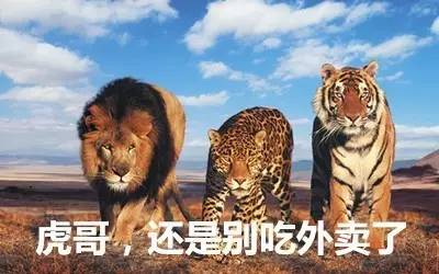 最新虎獅
