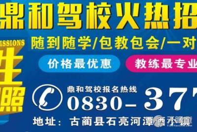 淄川司機招聘信息詳解，應聘指南與步驟全解析