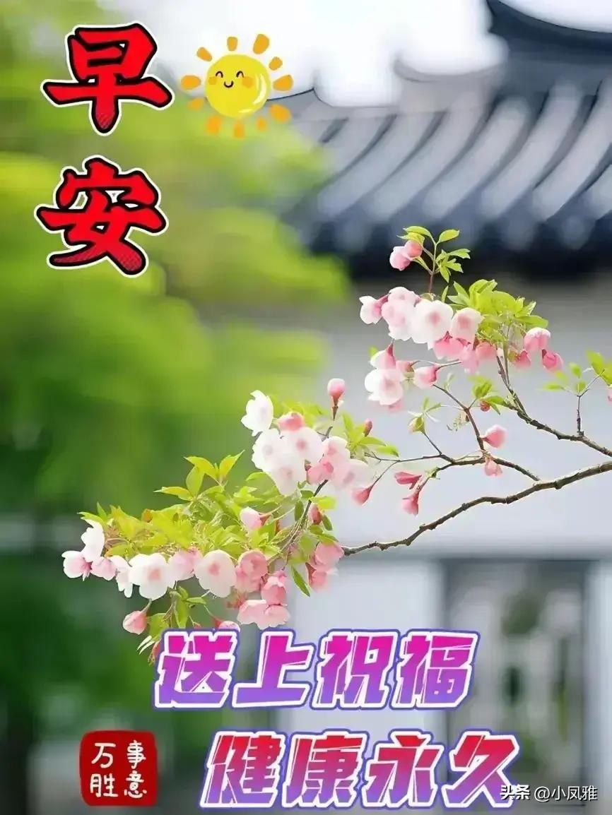 第807頁