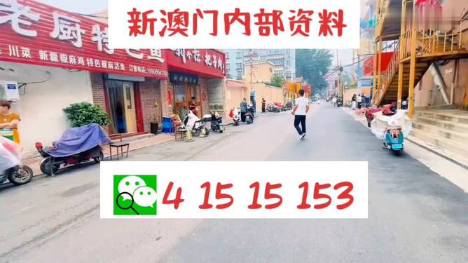＂2024新澳天天開好彩大全78期＂的：高度協(xié)調實施_家庭版8.17