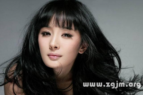 夢中之星奇遇，與明星的奇妙邂逅