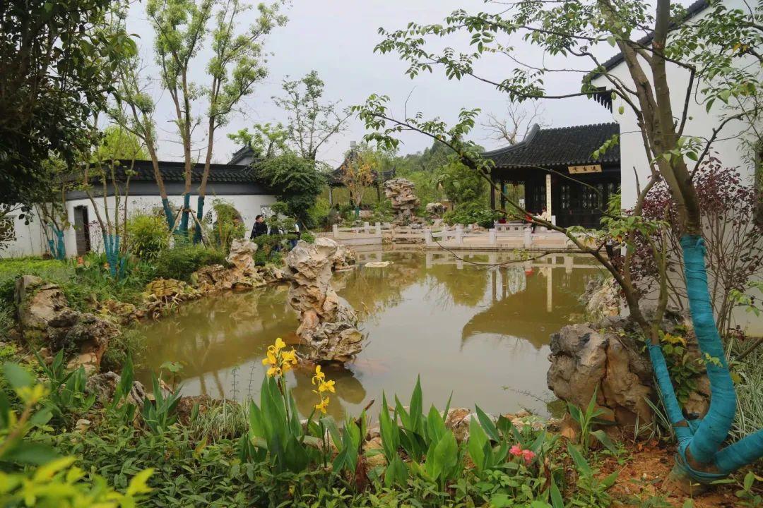 南寧園搏園最新動態(tài)揭秘，游園攻略與技能學習指南
