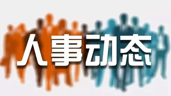 長治市人事任免信息解析，日常故事與任免動態(tài)
