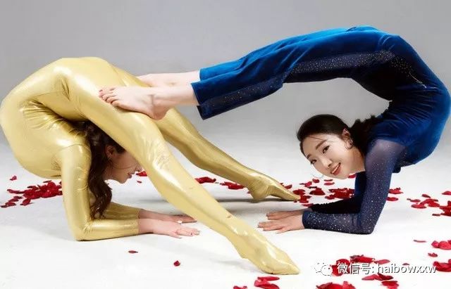 柔術(shù)資訊深度解析，探索世界聚焦要點(diǎn)
