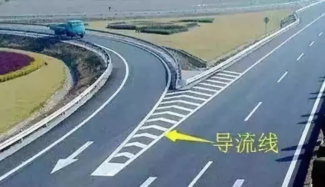 成金青快速路最新動(dòng)態(tài)，日常趣事與情感紐帶揭秘