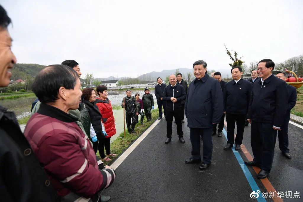 至2025年，馬中林最新動(dòng)態(tài)與未來發(fā)展趨勢(shì)解析