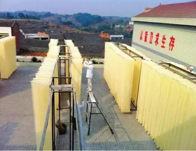 成宜高速公路最新動態(tài)，建設(shè)進展、特色亮點及未來展望