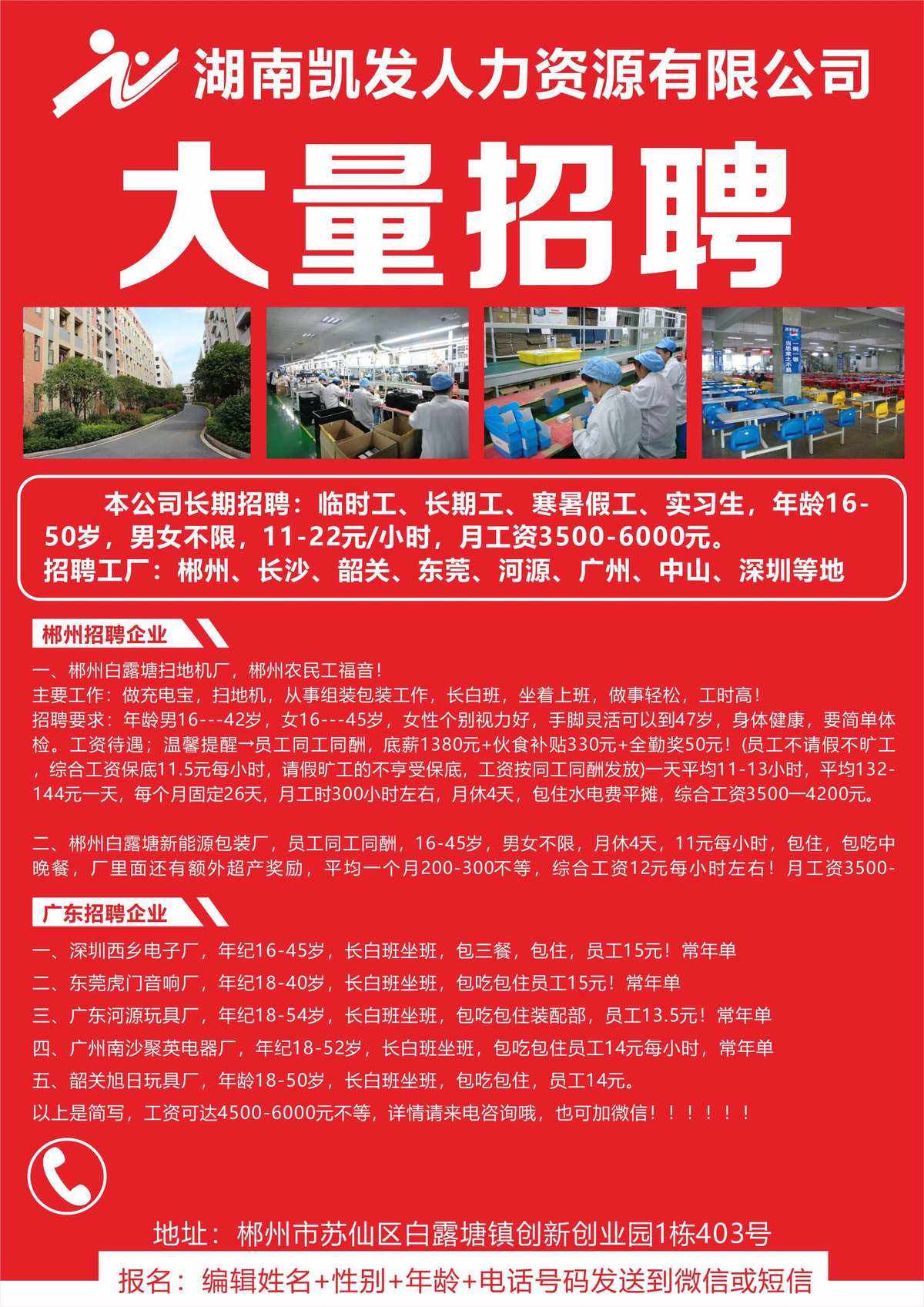 婁底市人才網(wǎng)最新招聘啟航，探索自然美景，尋找內(nèi)心寧?kù)o之旅