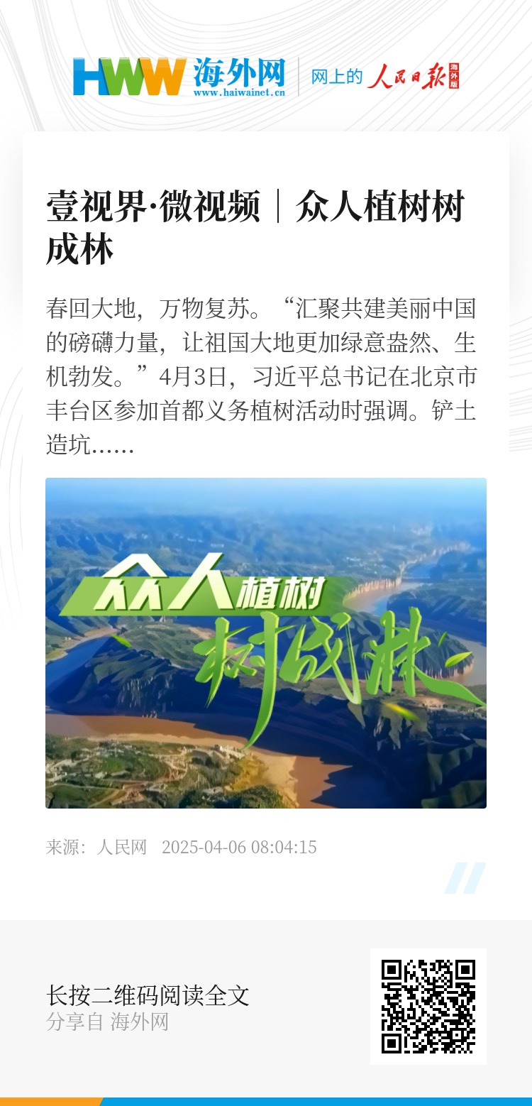 長青樹眾籌最新動態(tài)，小巷驚喜與特色小店的獨特魅力探索