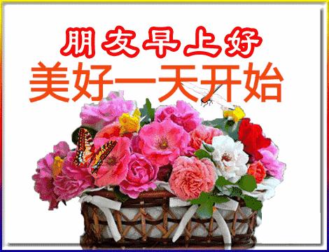 五福碰胡最新版下載，變化、學習與自信的力量之源