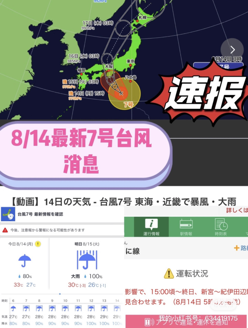 臺(tái)風(fēng)來襲，知識(shí)海洋并肩作戰(zhàn)，最新關(guān)于臺(tái)風(fēng)12號(hào)的消息報(bào)告